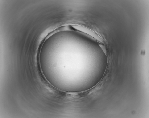 X0000090490340200708102223