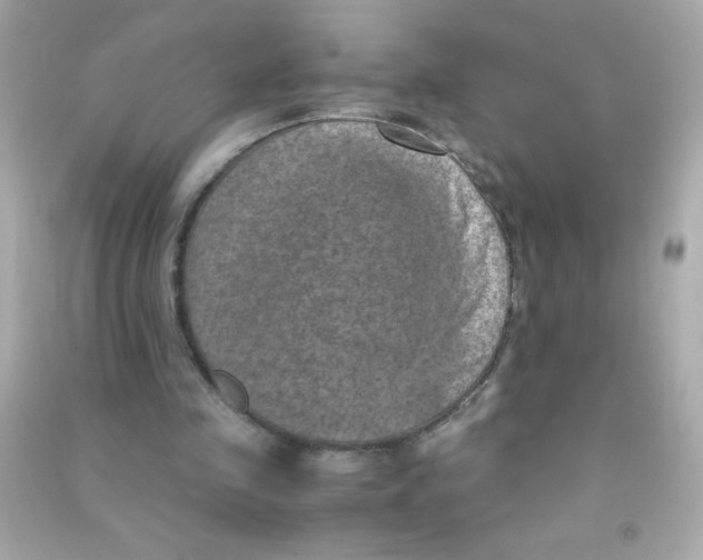 X0000090490341200708102223