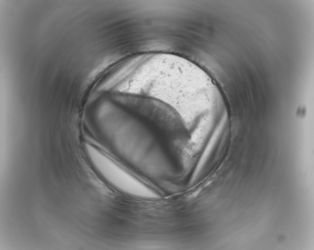 X0000090490345200708102223