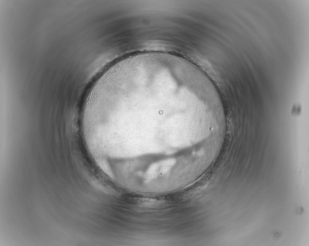 X0000090490347200708102223