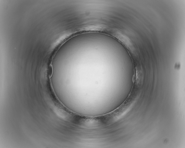 X0000090490348200708102223