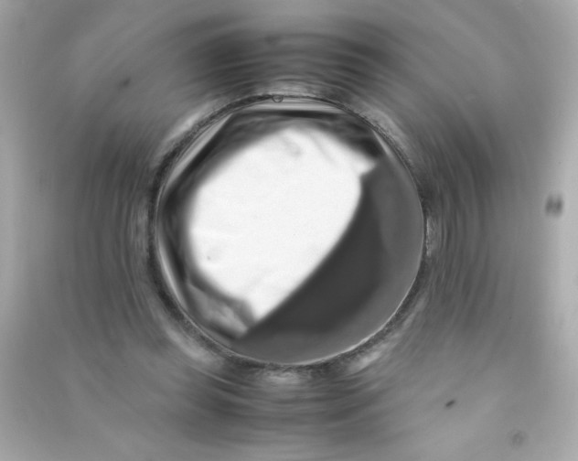 X0000090490349200708102223