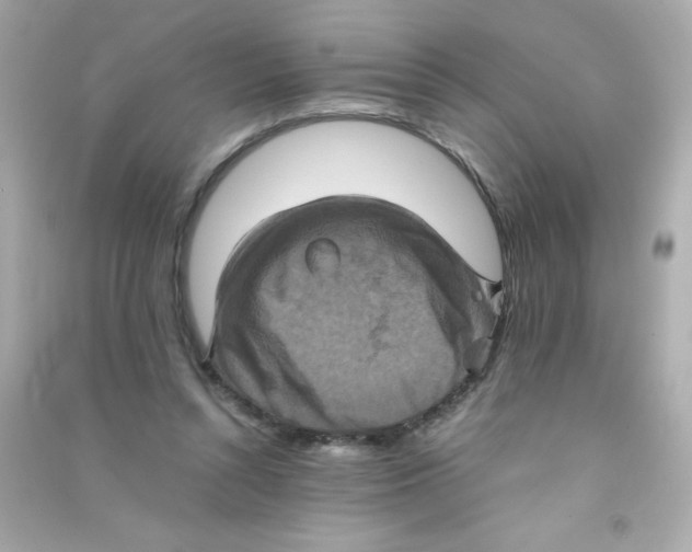 X0000090490352200708102223