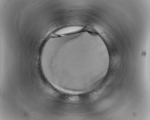 X0000090490355200708102223