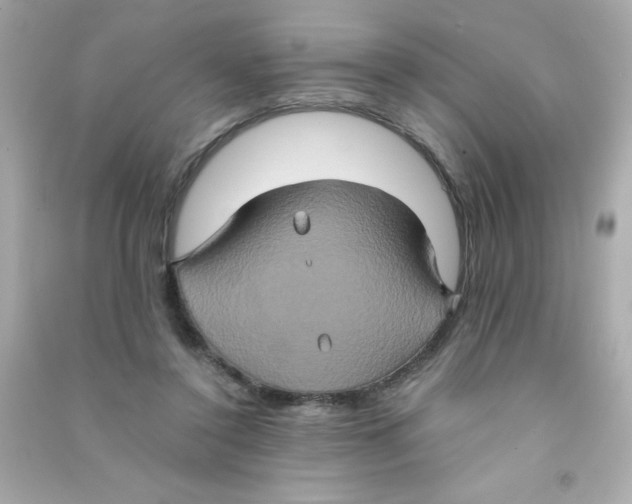 X0000090490356200708102223