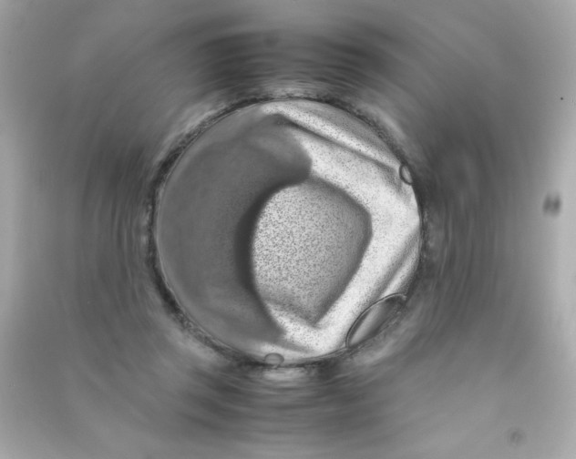 X0000090490357200708102223