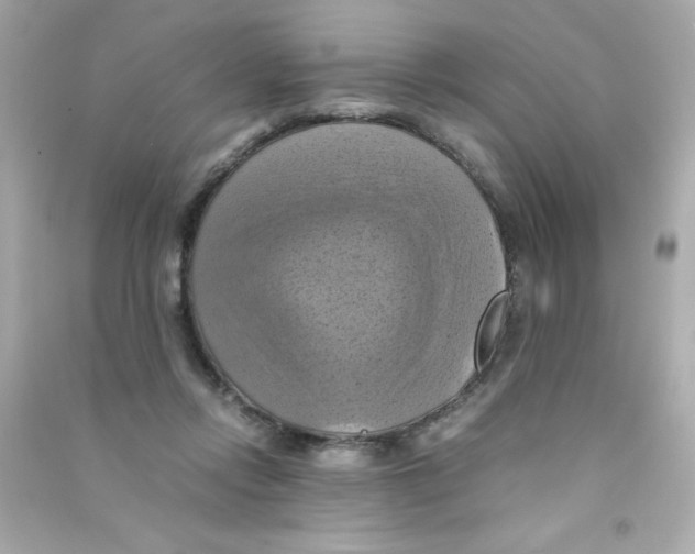 X0000090490358200708102223