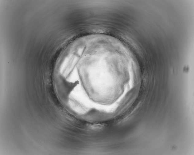 X0000090490359200708102223