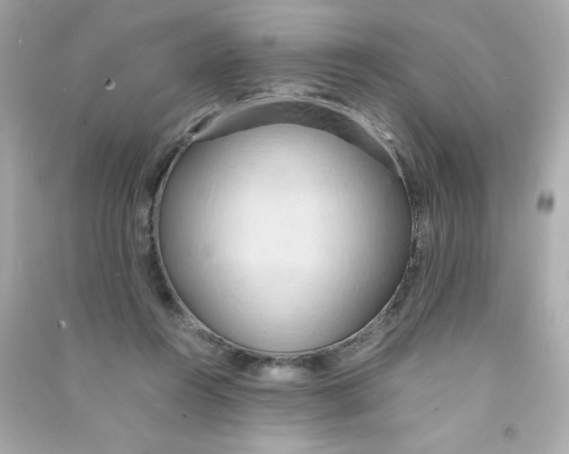 X0000090490360200708102223