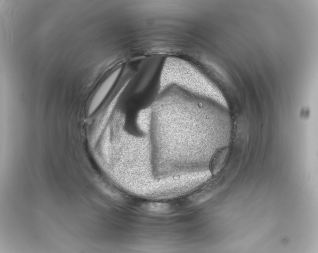 X0000090490361200708102223