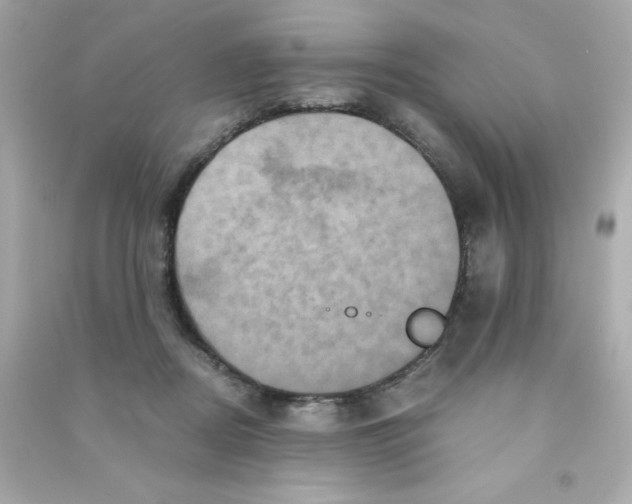 X0000090490362200708102223