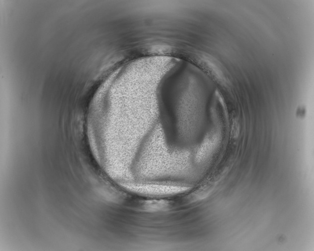 X0000090490363200708102223