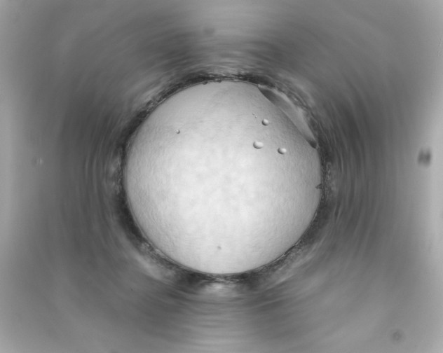 X0000090490364200708102223