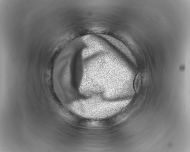 X0000090490365200708102223