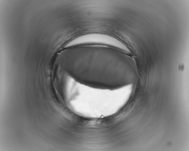 X0000090490366200708102223