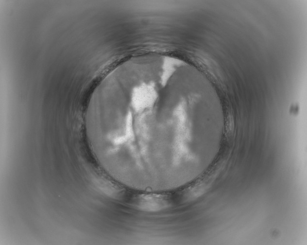 X0000090490367200708102223