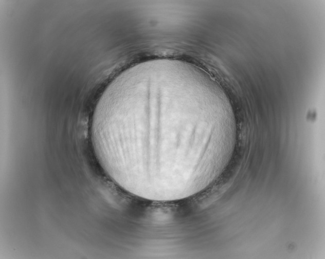 X0000090490368200708102223