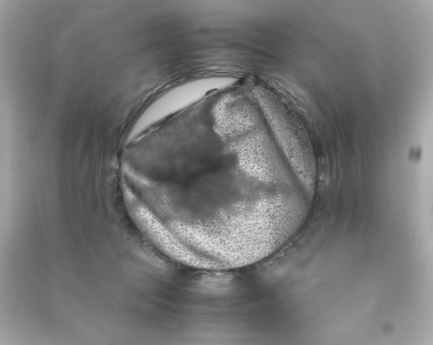 X0000090490369200708102223