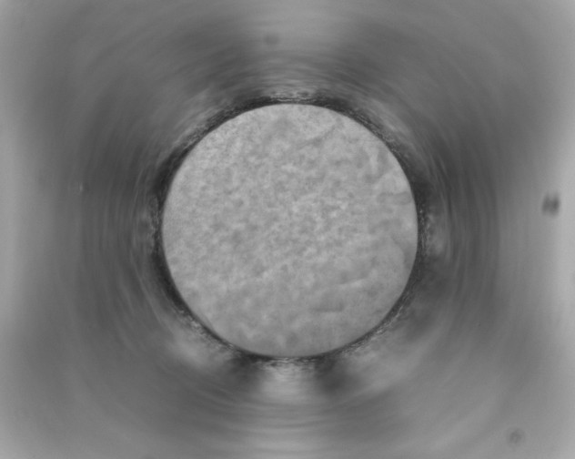 X0000090490370200708102224