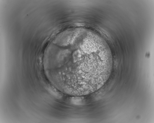 X0000090490373200708102224