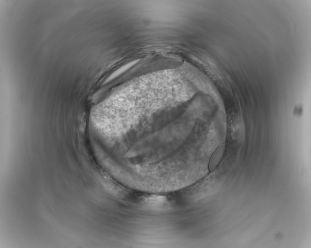 X0000090490374200708102224