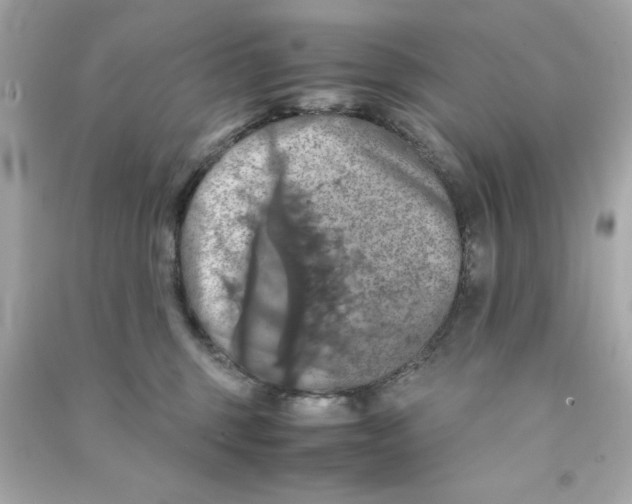 X0000090490375200708102224