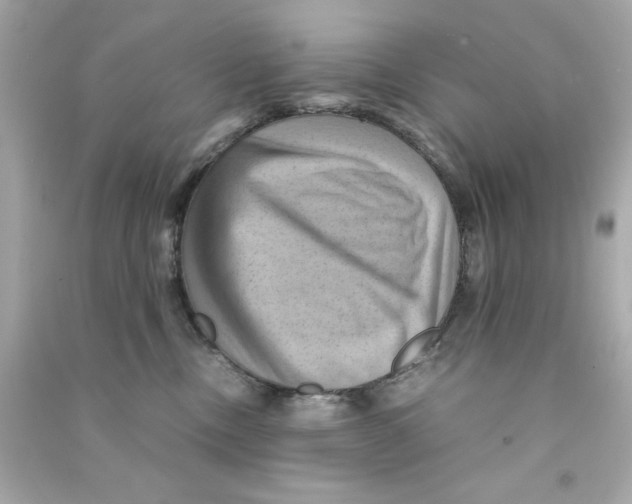 X0000090490378200708102224