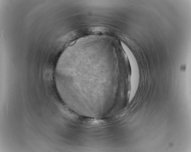 X0000090490379200708102224