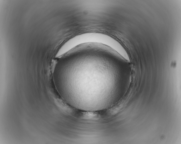 X0000090490380200708102224