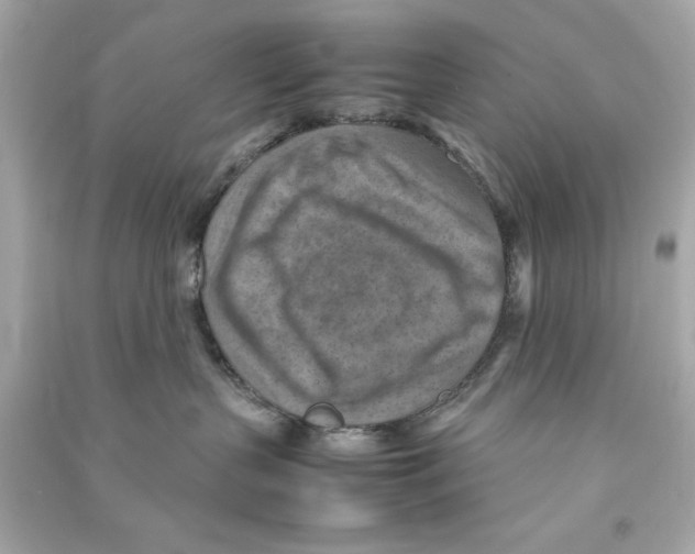 X0000090490383200708102224