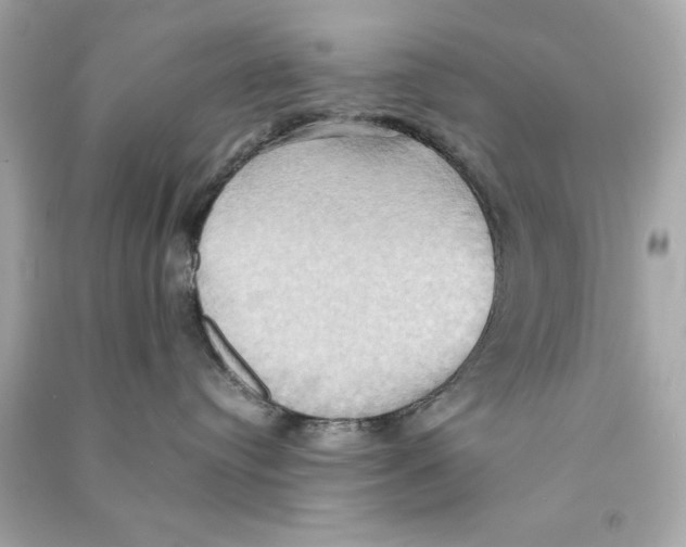 X0000090490384200708102224