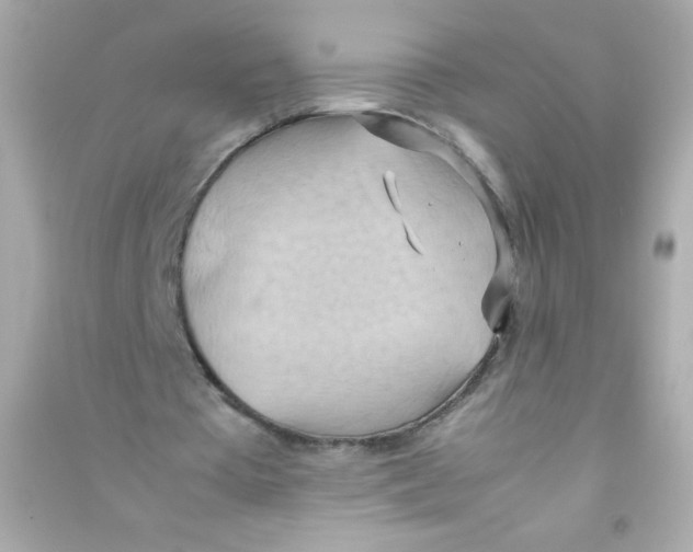 X0000090490385200708102223