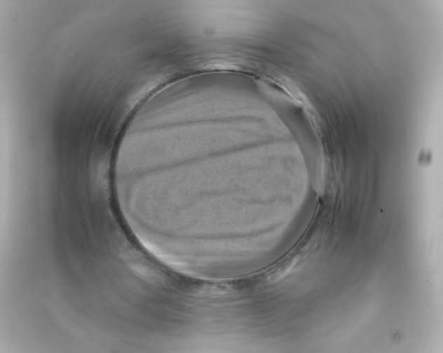 X0000090490386200708102223