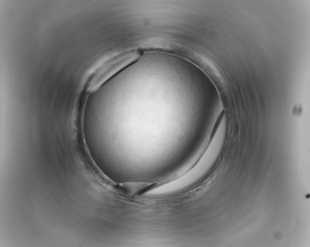 X0000090490388200708102223