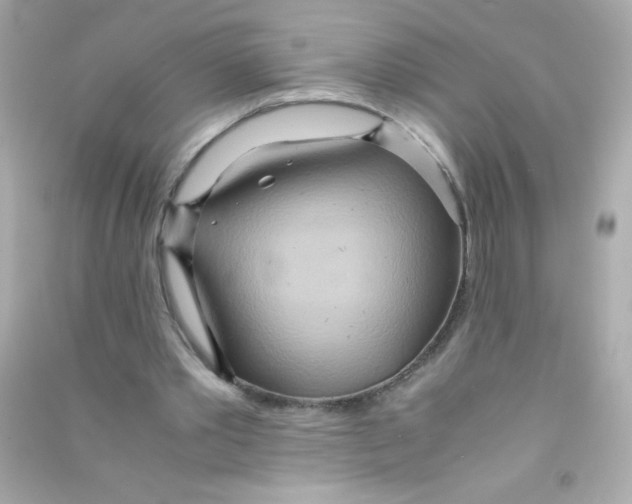 X0000090490389200708102223