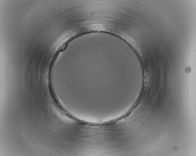 X0000090490390200708102223