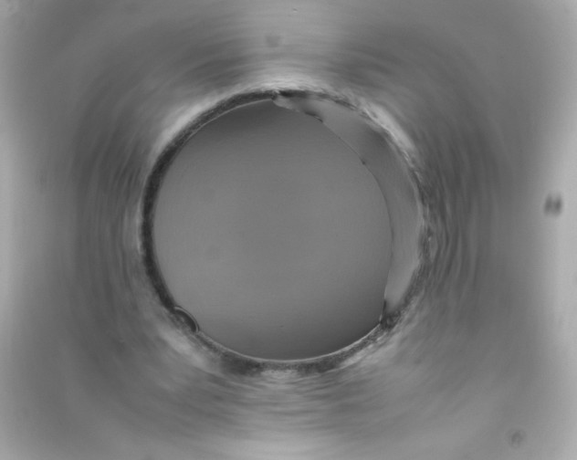 X0000090490391200708102223