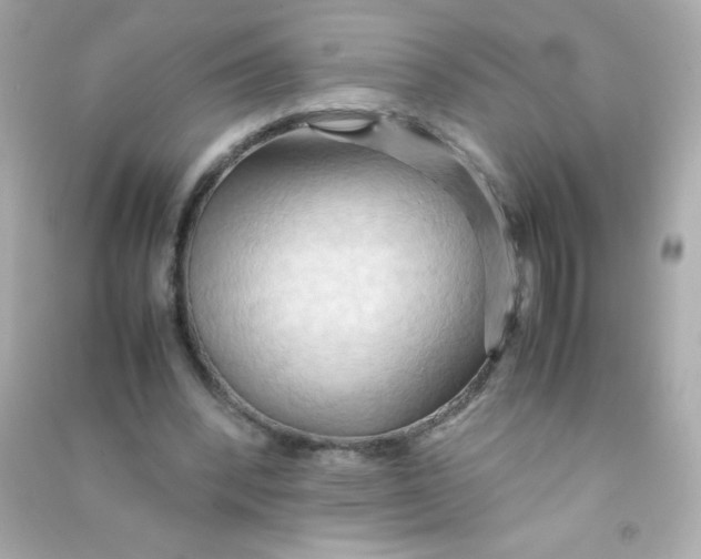 X0000090490392200708102223