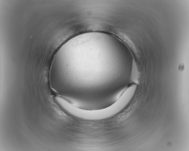 X0000090490393200708102223