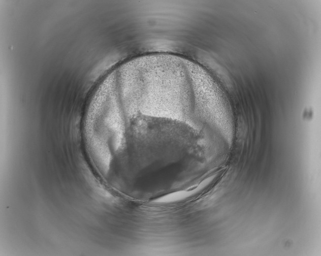 X0000090490394200708102223