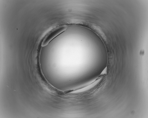 X0000090490395200708102223