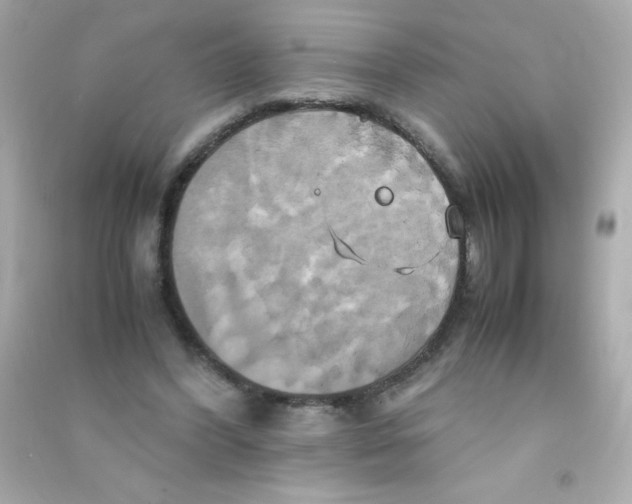 X0000090490396200708102223