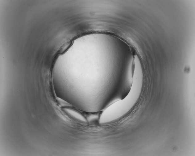 X0000090490397200708102223