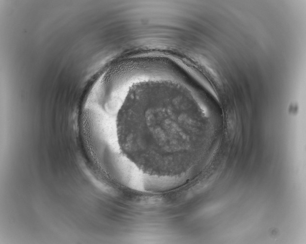 X0000090490398200708102223