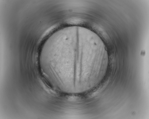 X0000090490400200708102223