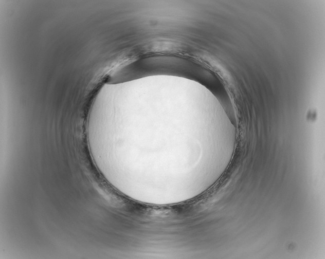 X0000090490401200708102223