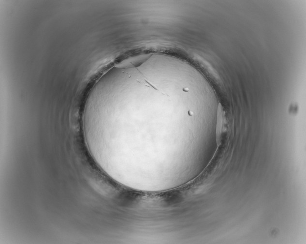 X0000090490403200708102223