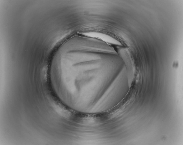 X0000090490404200708102223