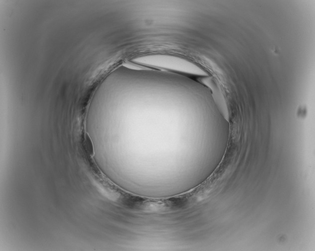 X0000090490405200708102223