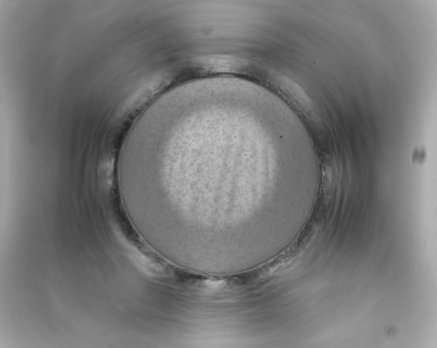 X0000090490406200708102223